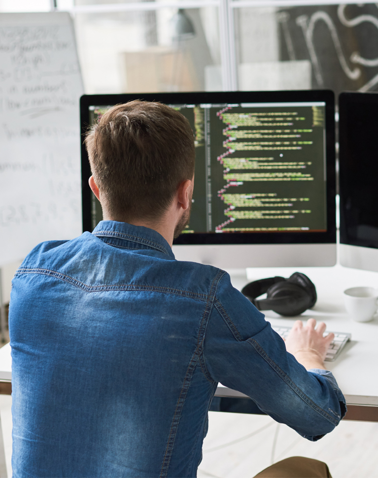 An experience in web development